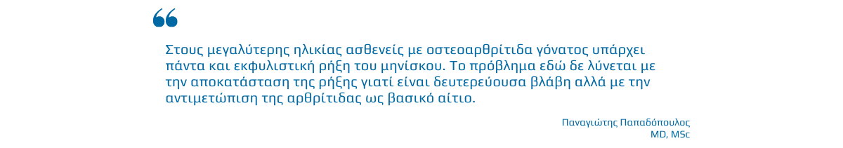 Banner Rixi Miniskou 2