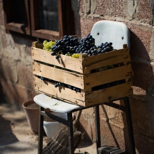 Wooden crate filled with freshly harvested black and green grapes, resting on a vintage chair against a rustic stone wall, bathed in Mediterranean sunlight.