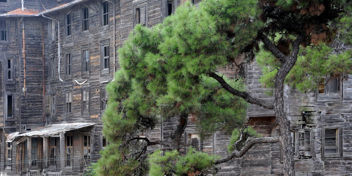 Ορφανοτροφείο Νήσου Πριγκήπου